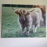 Ferienwohnung-Wilmes