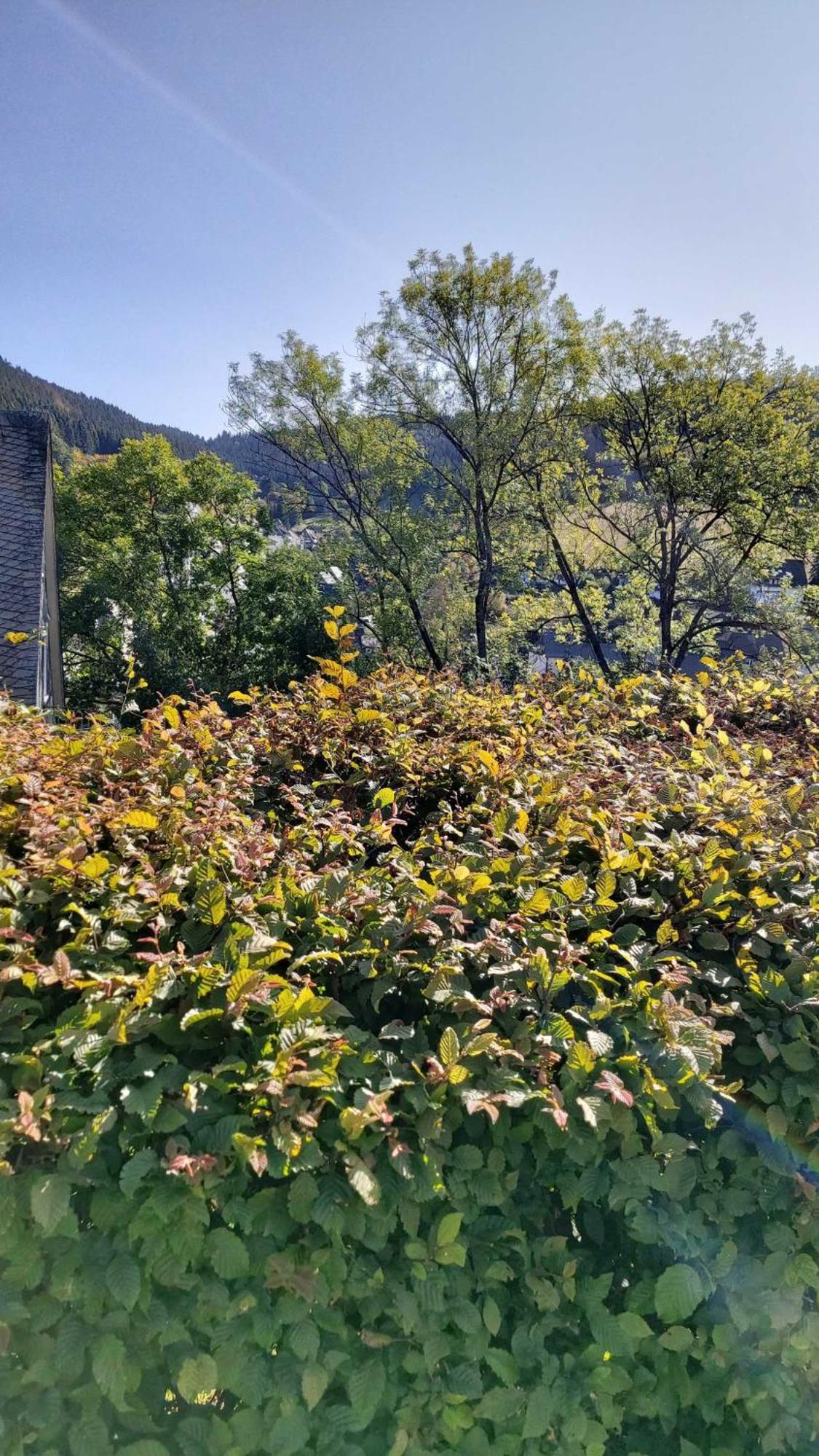 Apartment Ferienwohnung-wilmes Winterberg