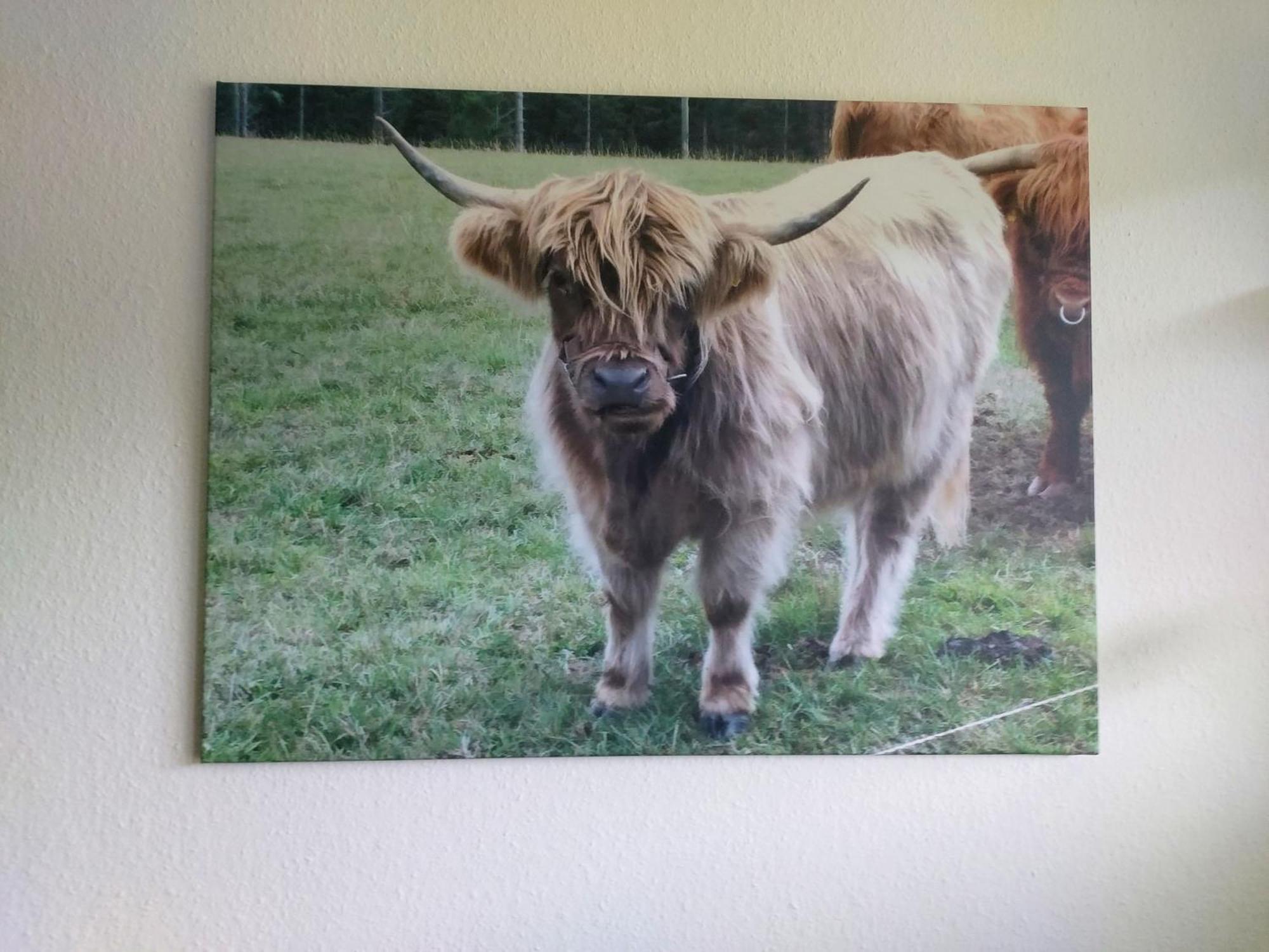 Ferienwohnung-wilmes *
